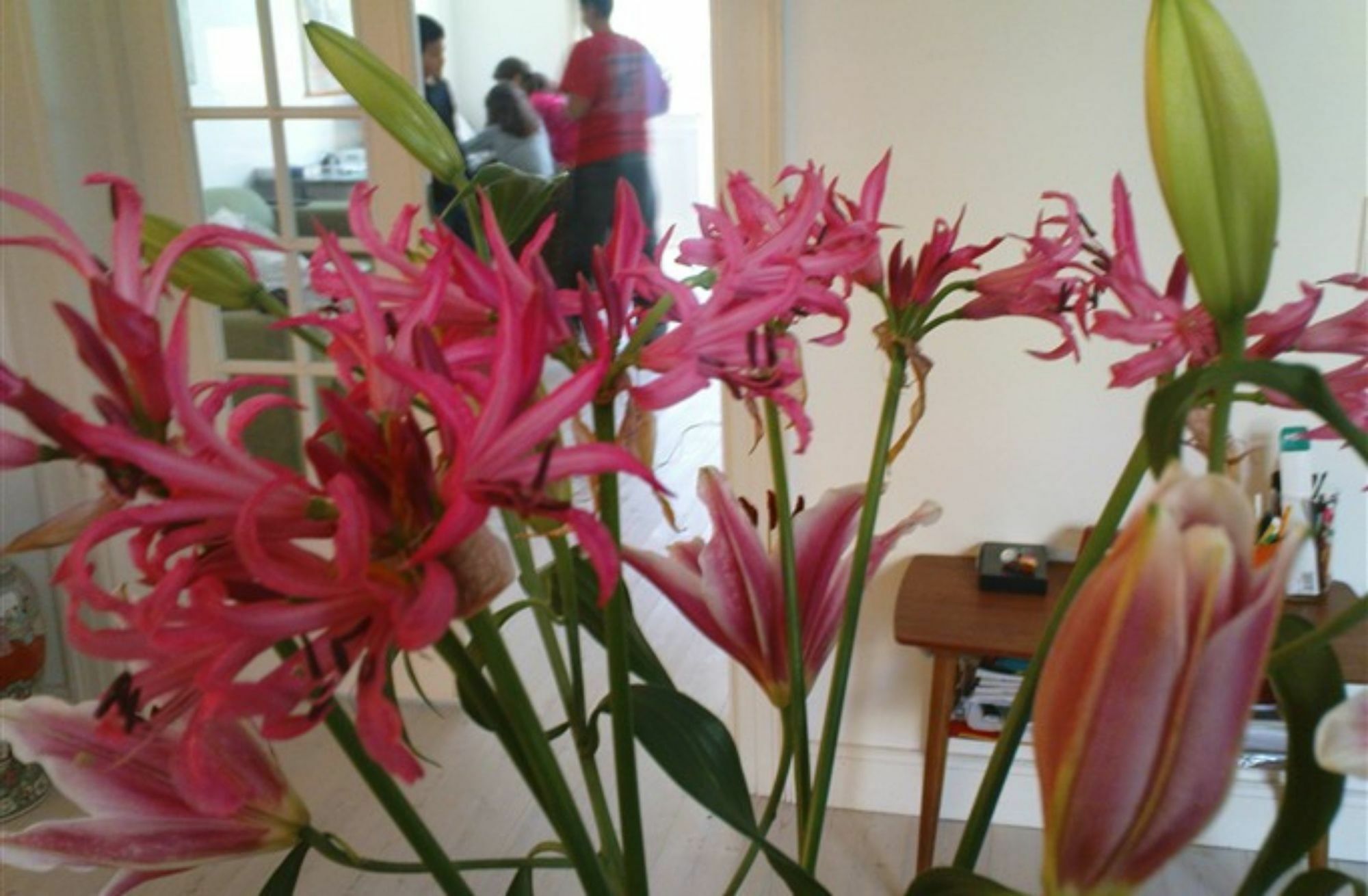 The Pea Blossom B&B Κοπεγχάγη Εξωτερικό φωτογραφία